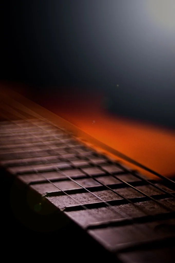 Close-Up Shot of Acoustic Guitar Fretboard and Frets